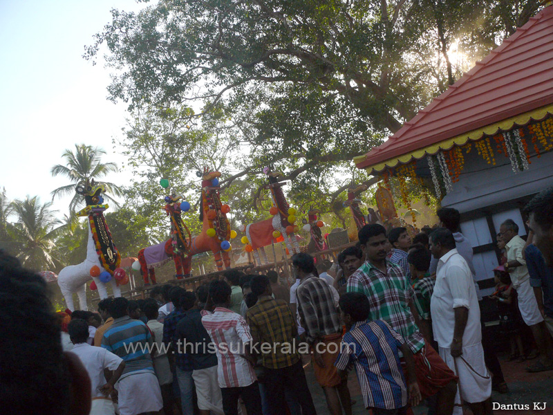 mangad-pooram-2013 (32)